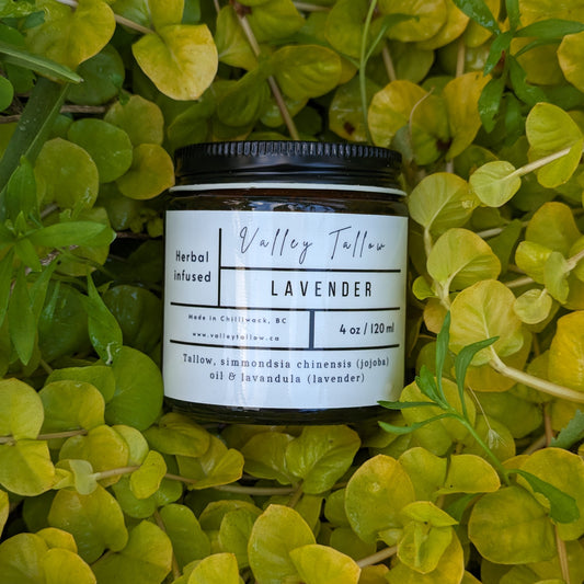Lavender Whipped Tallow Balm